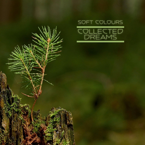 91av视频在线观看
