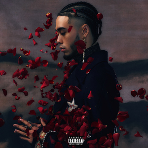 91av视频在线观看
