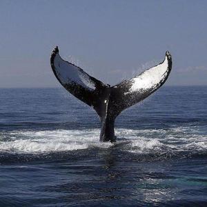 91av视频在线观看
